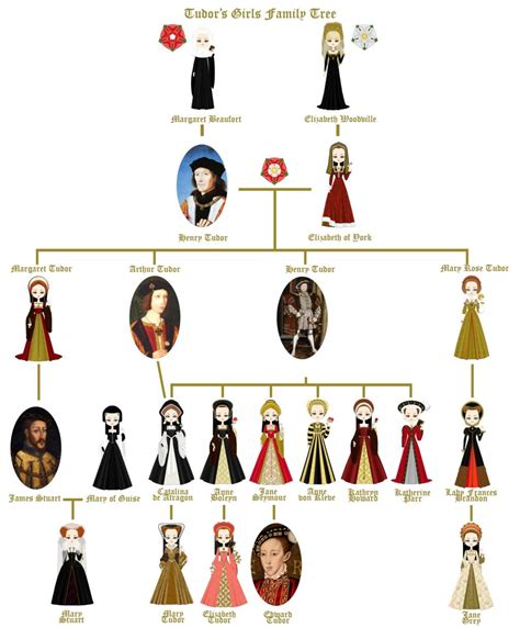 Mary, Queen of Scots family tree. | ประวัติศาสตร์จีน, เสื้อผ้ายุคกลาง