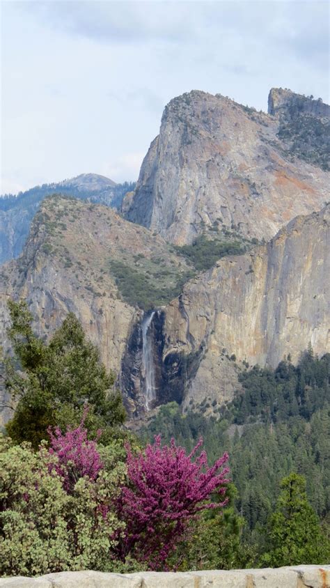 Bridal Veil Falls, Yosemite by Donnetta | Amazing nature photos, Places ...