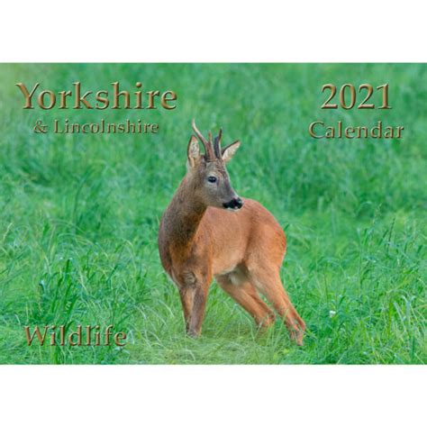 Yorkshire Wildlife Calendar 2021 – Yorkshire Wildlife