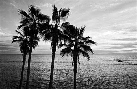 Black and white beach photography. Sunset by ClearFrameGallery | Beach photography, Landscape ...