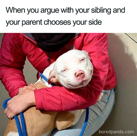 30 Of The Best Sibling Memes Ever | Bored Panda