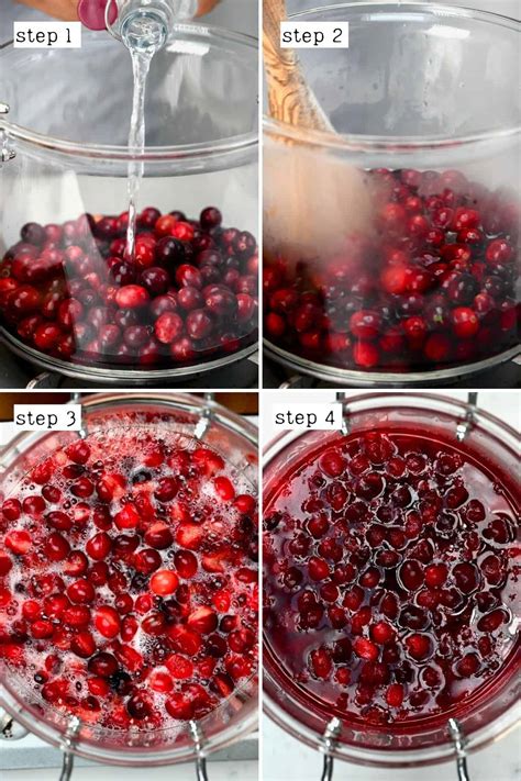 Raw Cranberry Juice Recipe | Deporecipe.co