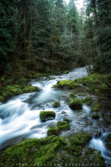 Getaway to Bagby Hot Springs in Oregon