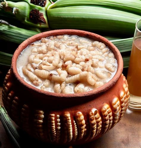 Chef Luciano's Pulque con Escamoles (Pulque with Ant Larvae) A Recipe for Entomophagist-vegan ...