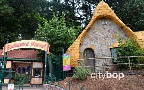 10 BEST Things to Do at Enchanted Forest Oregon