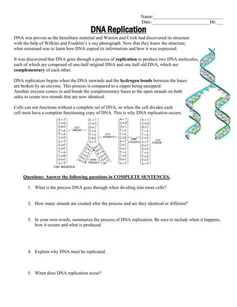 DNA Replication Worksheet 2015