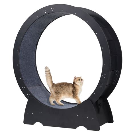 "RYPetmia 35"" Indoor Cat Exercise Wheel PVC Board, Kitty Treadmill ...