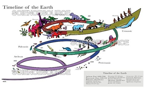 Timeline of the Earth, Illustration | Stock Image - Science Source Images