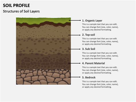 Soil Profile Illustration for PowerPoint and Google Slides - PPT Slides