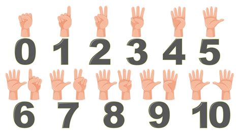 Finger Count Vector Art, Icons, and Graphics for Free Download