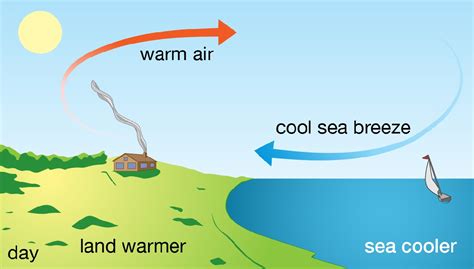 What is meant by sea breeze When does it occur - Tutorix