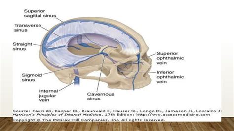 lucid interval and its importance in trauma and mental health