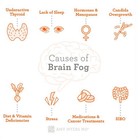 Causes of Brain Fog & How to Get Rid of It - Bút Chì Xanh