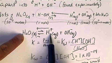 The dissociation of water reaction, & the equilibrium constant, Kw - YouTube