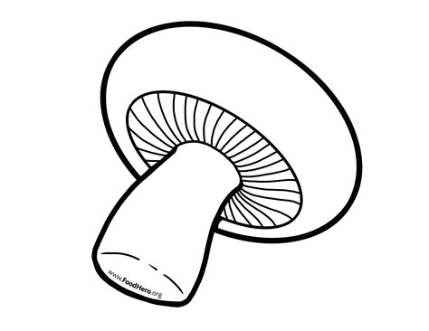 Mushrooms clipart outline, Mushrooms outline Transparent FREE for download on WebStockReview 2024