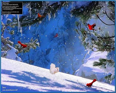 Screensaver Winter Seen - Download-Screensavers.biz