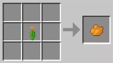 How To Make Orange Dye In Minecraft