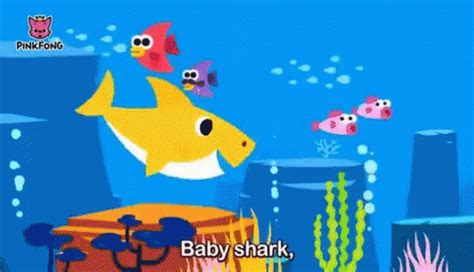 Baby Shark Fish GIF - BabyShark Fish Swim - Discover & Share GIFs Shark Gif, Swimming Gif, Fish ...