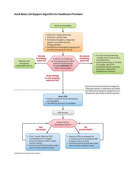 AHA Cardiac Algorithm 2022 - No, nonshockable Yes, shockable No normal ...