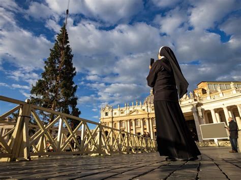 Christmas tree arrives at the Vatican - Arlington Catholic Herald