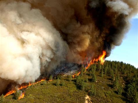 Canada's destructive firestorms, explained | Popular Science