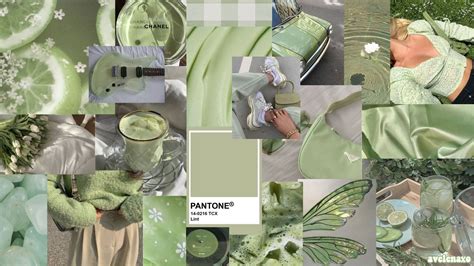 #sagegreen #collage #sagegreenwallpaper #desktopwallpaper #aesthetic #sagegreenaesthetic # ...