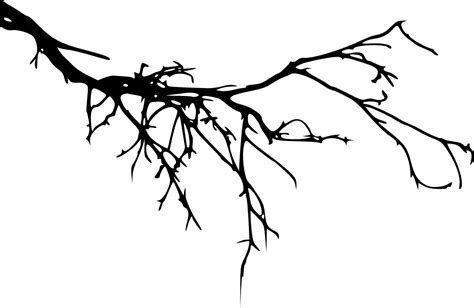 Branch Tree Portable Network Graphics Silhouette Image - tree branch silhouette png download ...