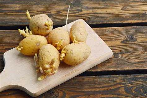 How To Speed Up Potato Sprouting: All The Answers