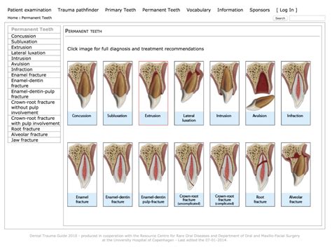 Dental Injuries - Charlie's ED