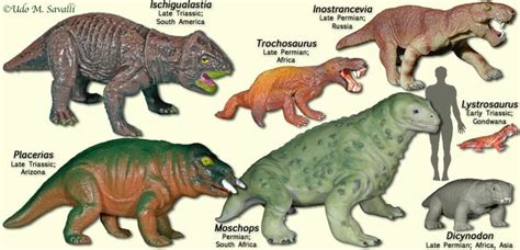 Блогът на valentint :: Encyclopedia Largest prehistoric animals Vol. 1 Vertebrates part4 Mammal ...