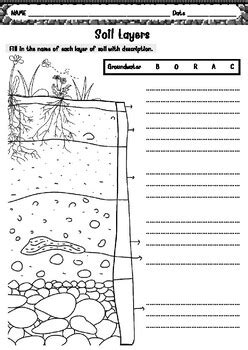 Soil layers worksheets library - Worksheets Library