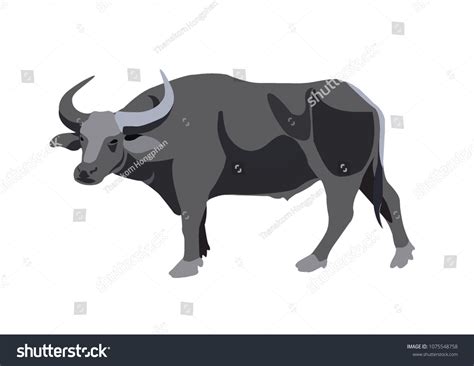 957 Water Buffalo Cartoon Images, Stock Photos, 3D objects, & Vectors ...