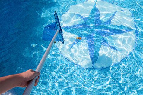 Get Easy Your Pool Clean with Swimming Pool Cleaning Services - Transfz