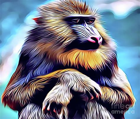 Mandrill Baboon Drawing by Sun Leil - Pixels