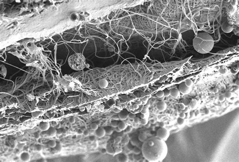 Improving Vascular Graft Integration into the Body