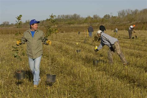 10 things you can do to save forests - TREE Foundation