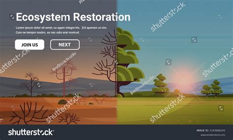 Nature Landscape Before After Ecosystem Restoration Stock Vector ...