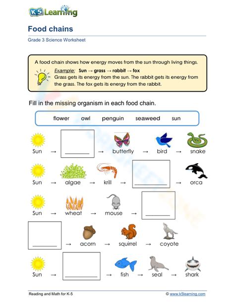 Food Chains Worksheet - Worksheets Library