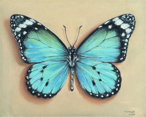 turquoise | Butterfly painting, Butterfly art, Teal butterfly