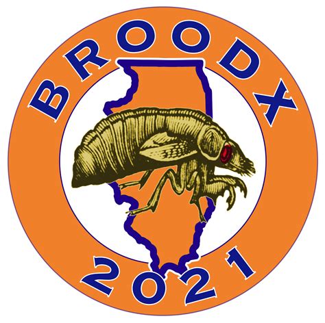 Periodical cicada Brood X (10) will emerge in 15 states in 2021 - Cicada Mania