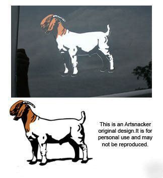 Boer meat goat 3 color decal sticker original design