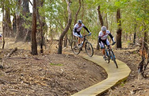 Five Mile mountain bike trail | NSW National Parks