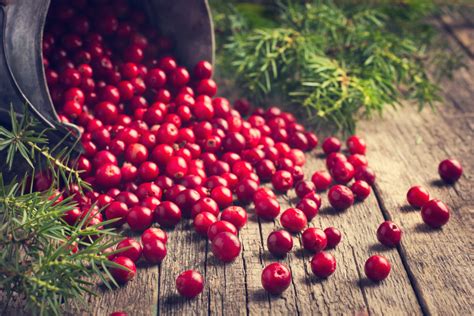 Growing Cranberries - How Cranberries Are Grown And Harvested