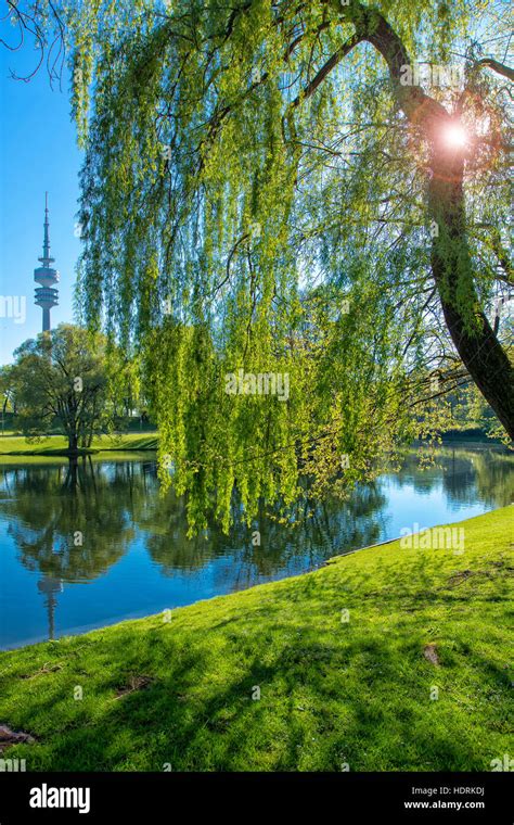 Olympic Park in Munich Stock Photo - Alamy