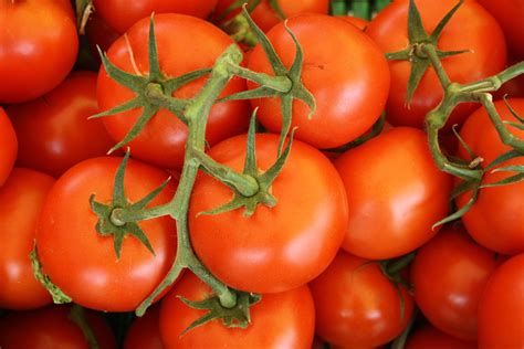 Container Tomato Gardening: A Comprehensive Guide - Dengarden