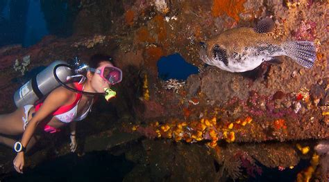 Diving East Bali | Photography by TIM ROCK