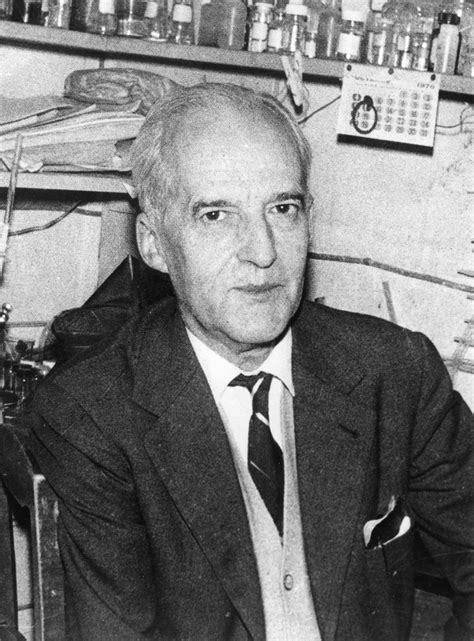 Luis Federico Leloir | Nobel Prize, Chemistry & Biochemistry | Britannica