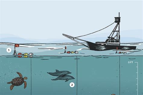 A New Way of Catching Swordfish Could Protect Other Marine Specie