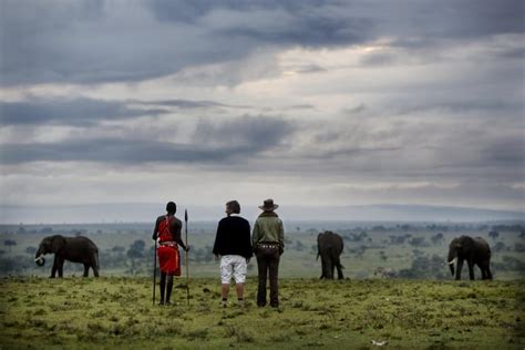 Mara Triangle | Maasai Mara national Reserve | Kenya Safaris Tours