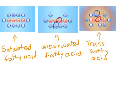 Trans fat molecule | Science, Chemistry, Food Chemistry | ShowMe